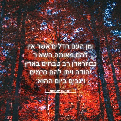 Picture 05 - ירמיה 39:10 HEB - ומן העם הדלים אשר אין להם - Bible Verse Picture