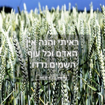 Picture 05 - ירמיה 4:25 HEB - ראיתי והנה אין האדם וכל עוף - Bible Verse Picture