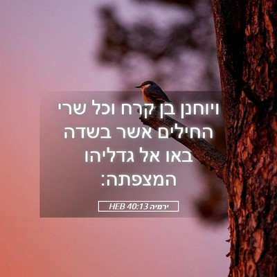 Picture 05 - ירמיה 40:13 HEB - ויוחנן בן קרח וכל שרי - Bible Verse Picture