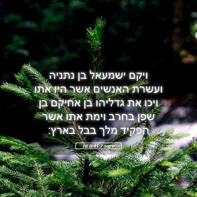 Picture 05 - ירמיה 41:2 HEB - ויקם ישמעאל בן נתניה ועשרת - Bible Verse Picture