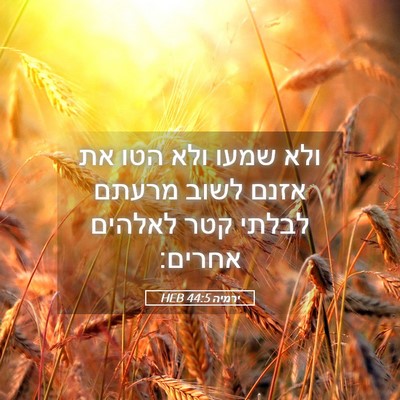 Picture 05 - ירמיה 44:5 HEB - ולא שמעו ולא הטו את אזנם - Bible Verse Picture