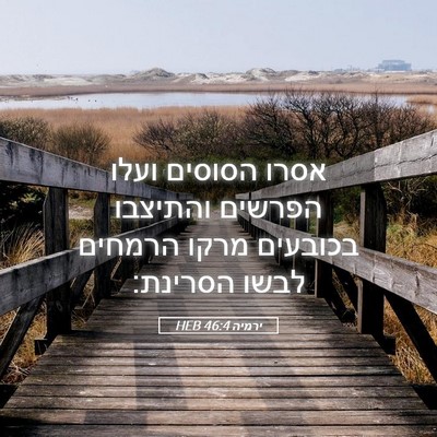 Picture 05 - ירמיה 46:4 HEB - אסרו הסוסים ועלו הפרשים - Bible Verse Picture