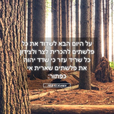 Picture 05 - ירמיה 47:4 HEB - על היום הבא לשדוד את כל - Bible Verse Picture