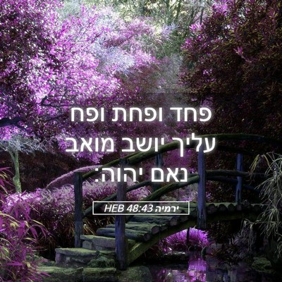 Picture 05 - ירמיה 48:43 HEB - פחד ופחת ופח עליך יושב מואב - Bible Verse Picture