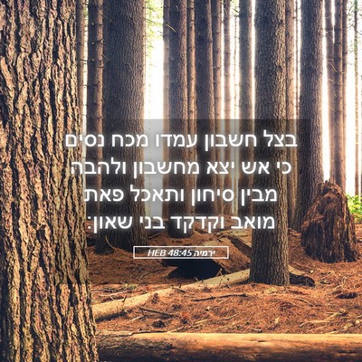 Picture 05 - ירמיה 48:45 HEB - בצל חשבון עמדו מכח נסים כי - Bible Verse Picture