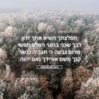 Picture 05 - ירמיה 49:16 HEB - תפלצתך השיא אתך זדון לבך - Bible Verse Picture