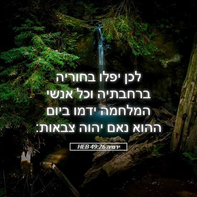 Picture 05 - ירמיה 49:26 HEB - לכן יפלו בחוריה ברחבתיה - Bible Verse Picture