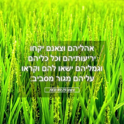 Picture 05 - ירמיה 49:29 HEB - אהליהם וצאנם יקחו - Bible Verse Picture