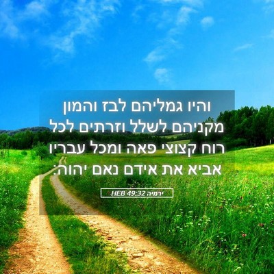 Picture 05 - ירמיה 49:32 HEB - והיו גמליהם לבז והמון - Bible Verse Picture