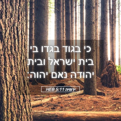Picture 05 - ירמיה 5:11 HEB - כי בגוד בגדו בי בית ישראל - Bible Verse Picture