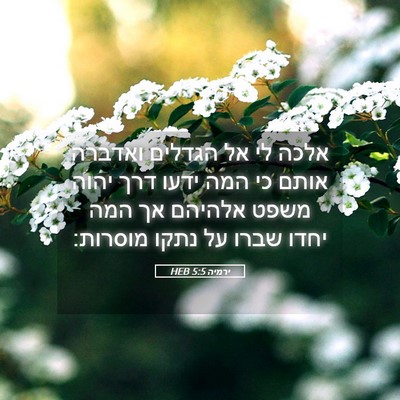 Picture 05 - ירמיה 5:5 HEB - אלכה לי אל הגדלים ואדברה - Bible Verse Picture