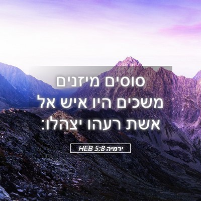Picture 05 - ירמיה 5:8 HEB - סוסים מיזנים משכים היו איש - Bible Verse Picture