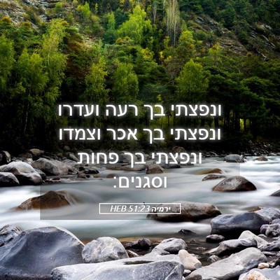 Picture 05 - ירמיה 51:23 HEB - ונפצתי בך רעה ועדרו ונפצתי - Bible Verse Picture
