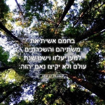 Picture 05 - ירמיה 51:39 HEB - בחמם אשית את משתיהם - Bible Verse Picture