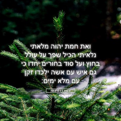 Picture 05 - ירמיה 6:11 HEB - ואת חמת יהוה מלאתי נלאיתי - Bible Verse Picture