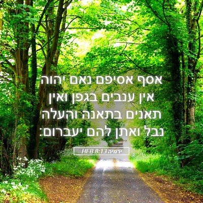 Picture 05 - ירמיה 8:13 HEB - אסף אסיפם נאם יהוה אין - Bible Verse Picture