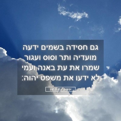Picture 05 - ירמיה 8:7 HEB - גם חסידה בשמים ידעה מועדיה - Bible Verse Picture