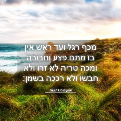 Picture 05 - ישעיה 1:6 HEB - מכף רגל ועד ראש אין בו מתם - Bible Verse Picture