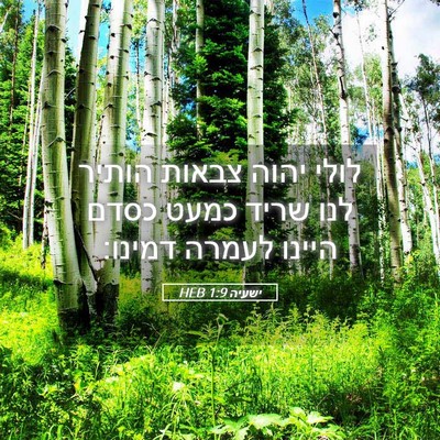 Picture 05 - ישעיה 1:9 HEB - לולי יהוה צבאות הותיר לנו - Bible Verse Picture