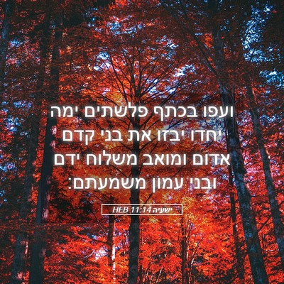 Picture 05 - ישעיה 11:14 HEB - ועפו בכתף פלשתים ימה יחדו - Bible Verse Picture