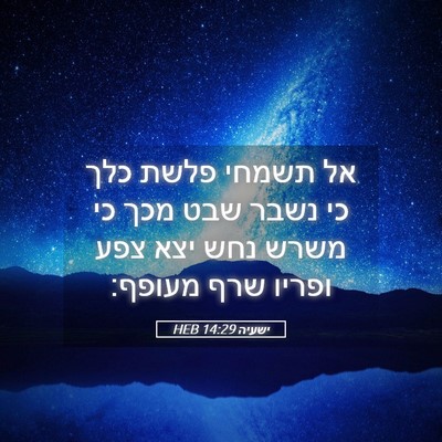 Picture 05 - ישעיה 14:29 HEB - אל תשמחי פלשת כלך כי נשבר - Bible Verse Picture
