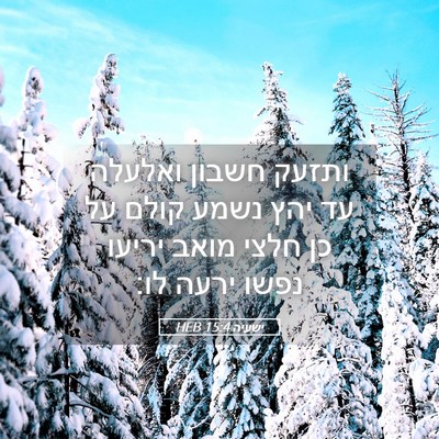 Picture 05 - ישעיה 15:4 HEB - ותזעק חשבון ואלעלה עד יהץ - Bible Verse Picture