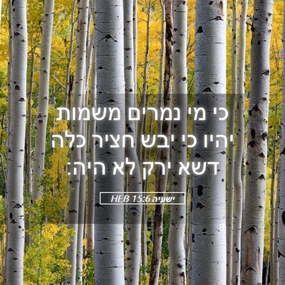 Picture 05 - ישעיה 15:6 HEB - כי מי נמרים משמות יהיו כי - Bible Verse Picture