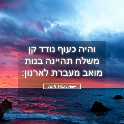 Picture 05 - ישעיה 16:2 HEB - והיה כעוף נודד קן משלח - Bible Verse Picture