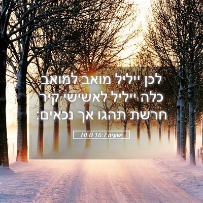 Picture 05 - ישעיה 16:7 HEB - לכן ייליל מואב למואב כלה - Bible Verse Picture