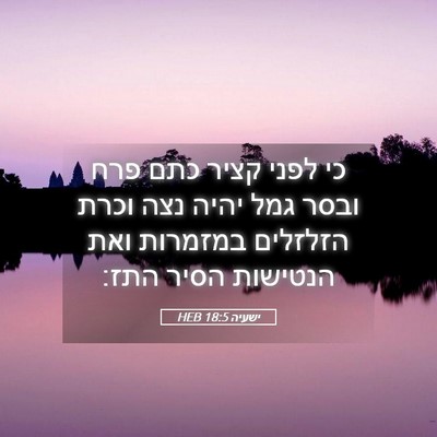 Picture 05 - ישעיה 18:5 HEB - כי לפני קציר כתם פרח ובסר - Bible Verse Picture