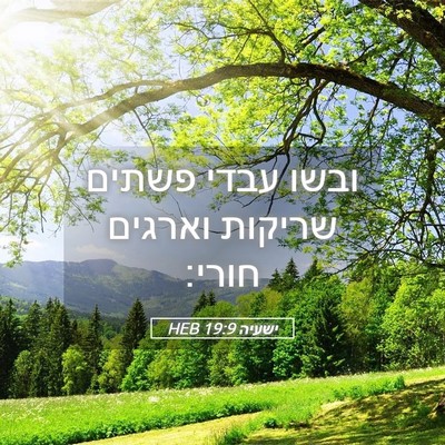 Picture 05 - ישעיה 19:9 HEB - ובשו עבדי פשתים שריקות - Bible Verse Picture