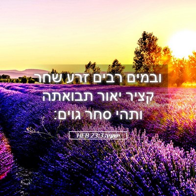 Picture 05 - ישעיה 23:3 HEB - ובמים רבים זרע שחר קציר - Bible Verse Picture