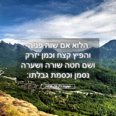 Picture 05 - ישעיה 28:25 HEB - הלוא אם שוה פניה והפיץ קצח - Bible Verse Picture