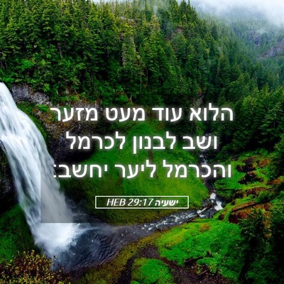 Picture 05 - ישעיה 29:17 HEB - הלוא עוד מעט מזער ושב לבנון - Bible Verse Picture