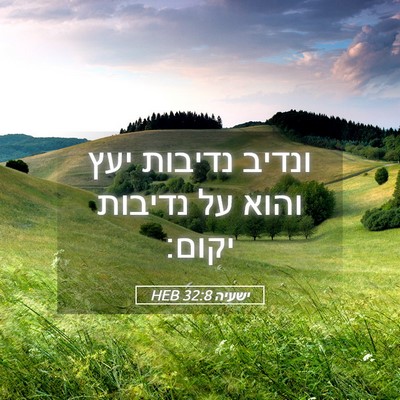 Picture 05 - ישעיה 32:8 HEB - ונדיב נדיבות יעץ והוא על - Bible Verse Picture