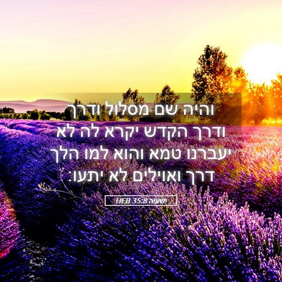 Picture 05 - ישעיה 35:8 HEB - והיה שם מסלול ודרך ודרך - Bible Verse Picture