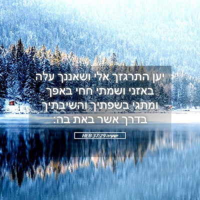 Picture 05 - ישעיה 37:29 HEB - יען התרגזך אלי ושאננך עלה - Bible Verse Picture