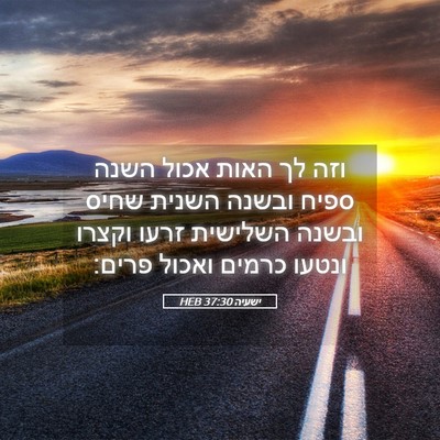 Picture 05 - ישעיה 37:30 HEB - וזה לך האות אכול השנה ספיח - Bible Verse Picture