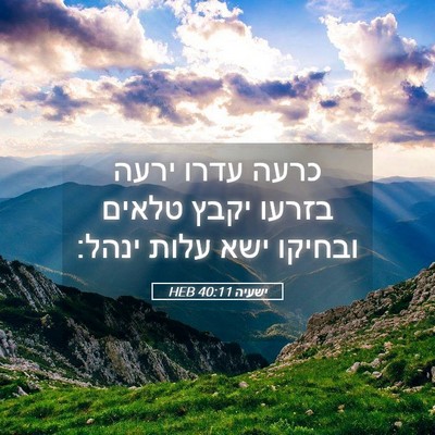 Picture 05 - ישעיה 40:11 HEB - כרעה עדרו ירעה בזרעו יקבץ - Bible Verse Picture