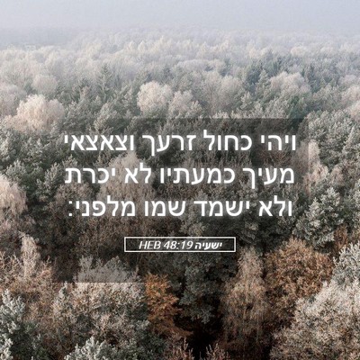 Picture 05 - ישעיה 48:19 HEB - ויהי כחול זרעך וצאצאי מעיך - Bible Verse Picture
