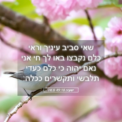 Picture 05 - ישעיה 49:18 HEB - שאי סביב עיניך וראי כלם - Bible Verse Picture