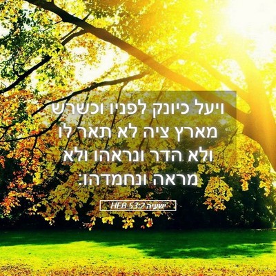 Picture 05 - ישעיה 53:2 HEB - ויעל כיונק לפניו וכשרש - Bible Verse Picture