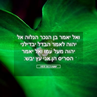Picture 05 - ישעיה 56:3 HEB - ואל יאמר בן הנכר הנלוה אל - Bible Verse Picture