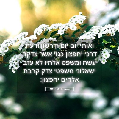 Picture 05 - ישעיה 58:2 HEB - ואותי יום יום ידרשון ודעת - Bible Verse Picture