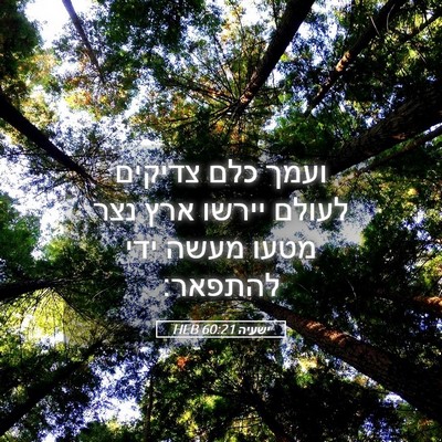 Picture 05 - ישעיה 60:21 HEB - ועמך כלם צדיקים לעולם - Bible Verse Picture
