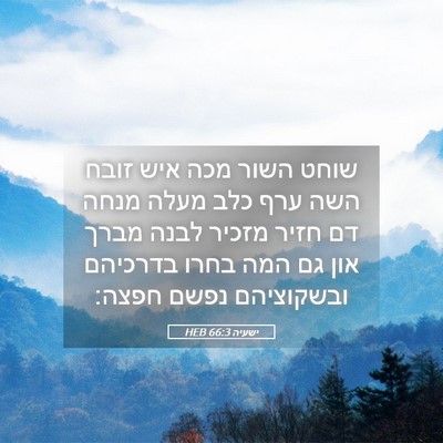 Picture 05 - ישעיה 66:3 HEB - שוחט השור מכה איש זובח השה - Bible Verse Picture