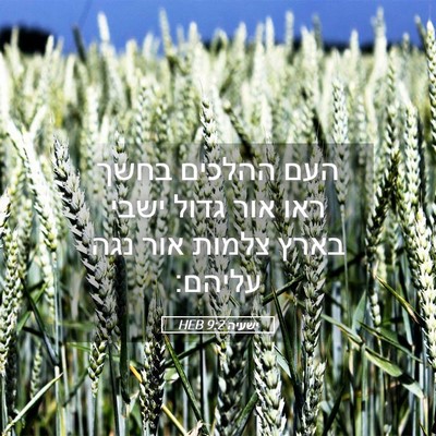 Picture 05 - ישעיה 9:2 HEB - העם ההלכים בחשך ראו אור - Bible Verse Picture