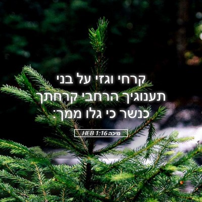 Picture 05 - מיכה 1:16 HEB - קרחי וגזי על בני תענוגיך - Bible Verse Picture