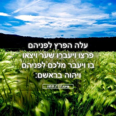 Picture 05 - מיכה 2:13 HEB - עלה הפרץ לפניהם פרצו - Bible Verse Picture