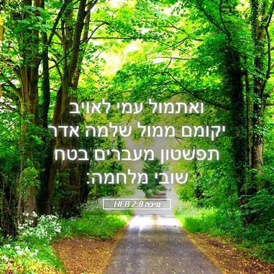 Picture 05 - מיכה 2:8 HEB - ואתמול עמי לאויב יקומם - Bible Verse Picture